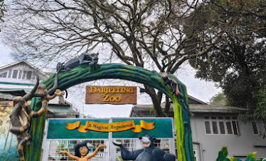 zoo